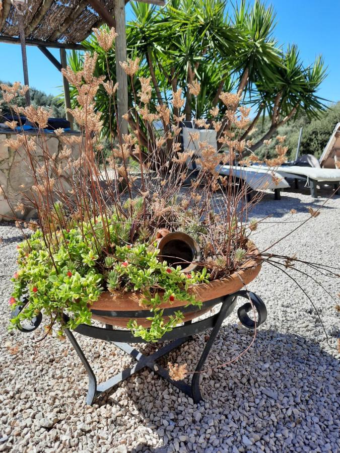 Hacienda La Buena Vida B&B En Appartementen Casita La Bruja Algarinejo Zewnętrze zdjęcie
