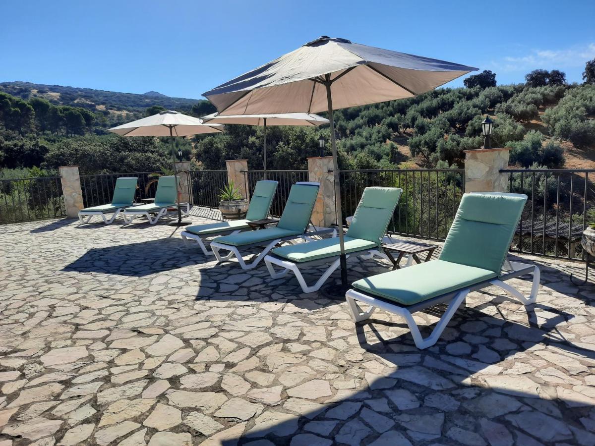 Hacienda La Buena Vida B&B En Appartementen Casita La Bruja Algarinejo Zewnętrze zdjęcie