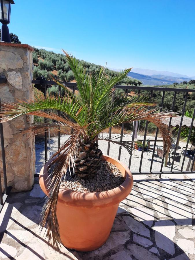 Hacienda La Buena Vida B&B En Appartementen Casita La Bruja Algarinejo Zewnętrze zdjęcie