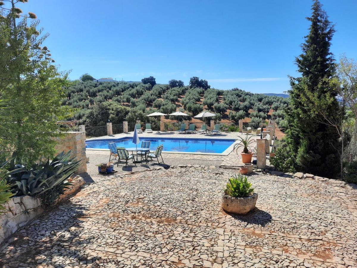 Hacienda La Buena Vida B&B En Appartementen Casita La Bruja Algarinejo Zewnętrze zdjęcie
