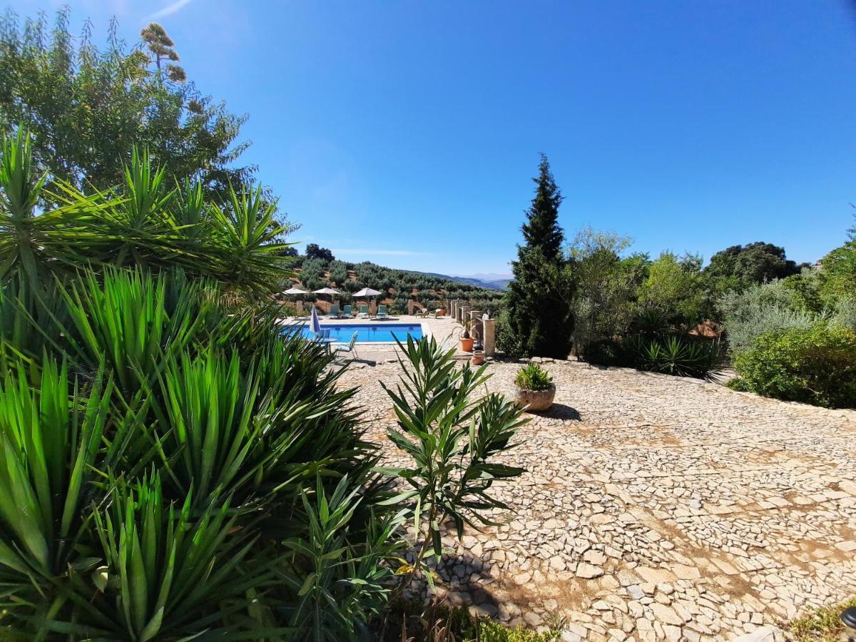 Hacienda La Buena Vida B&B En Appartementen Casita La Bruja Algarinejo Zewnętrze zdjęcie