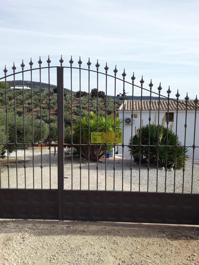 Hacienda La Buena Vida B&B En Appartementen Casita La Bruja Algarinejo Zewnętrze zdjęcie