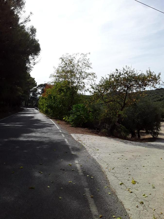 Hacienda La Buena Vida B&B En Appartementen Casita La Bruja Algarinejo Zewnętrze zdjęcie