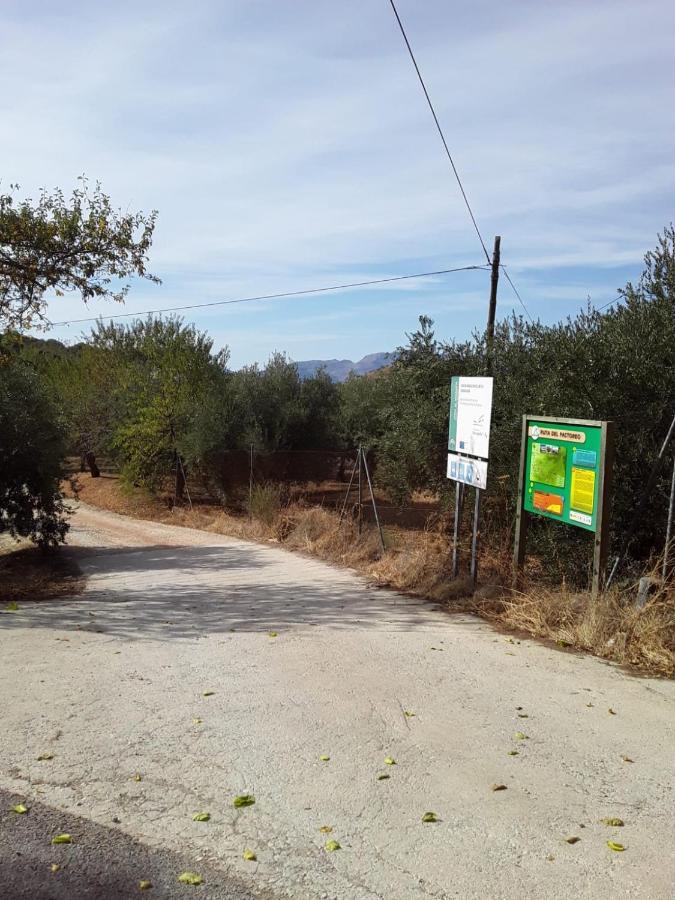 Hacienda La Buena Vida B&B En Appartementen Casita La Bruja Algarinejo Zewnętrze zdjęcie