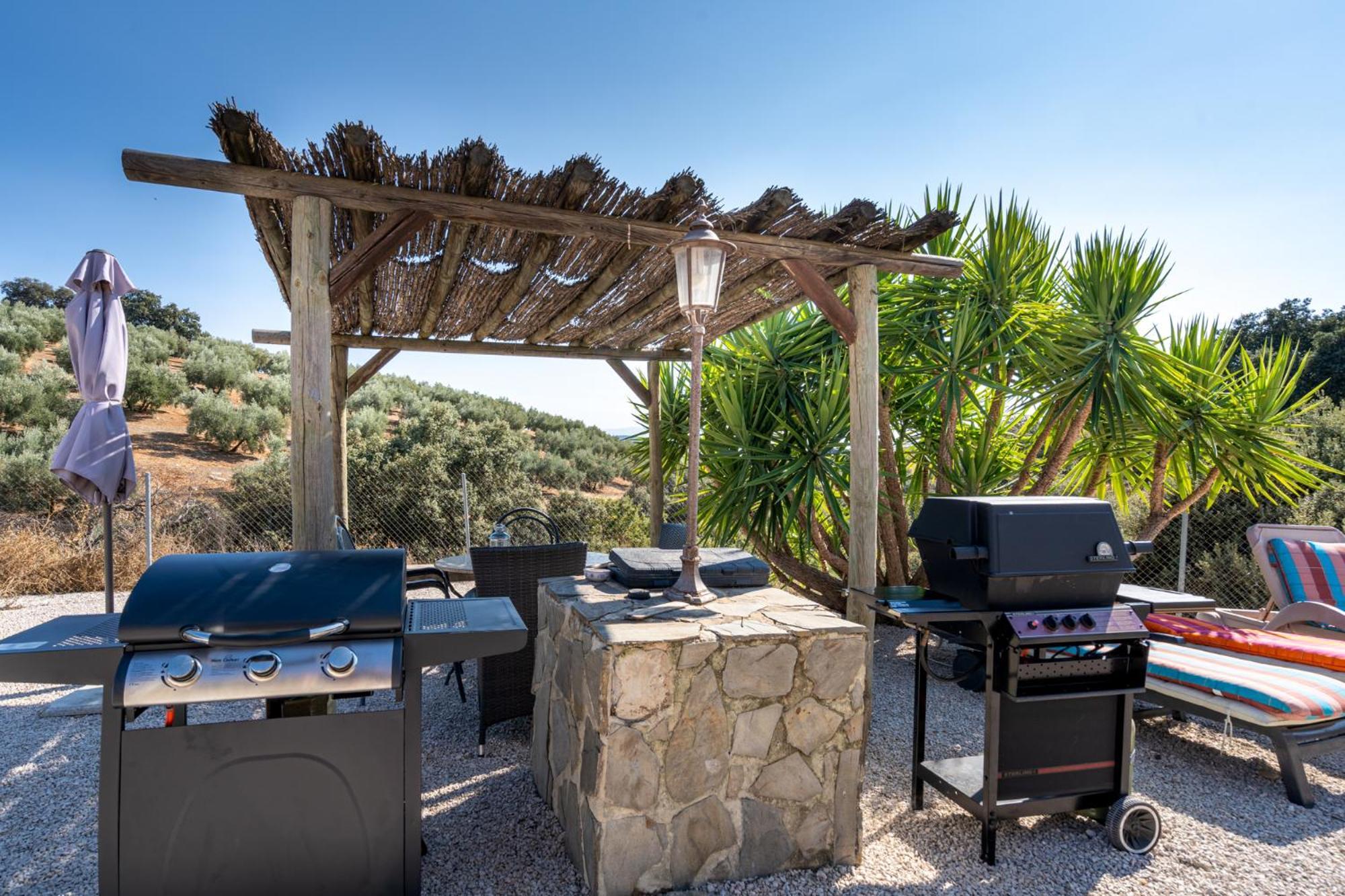 Hacienda La Buena Vida B&B En Appartementen Casita La Bruja Algarinejo Pokój zdjęcie