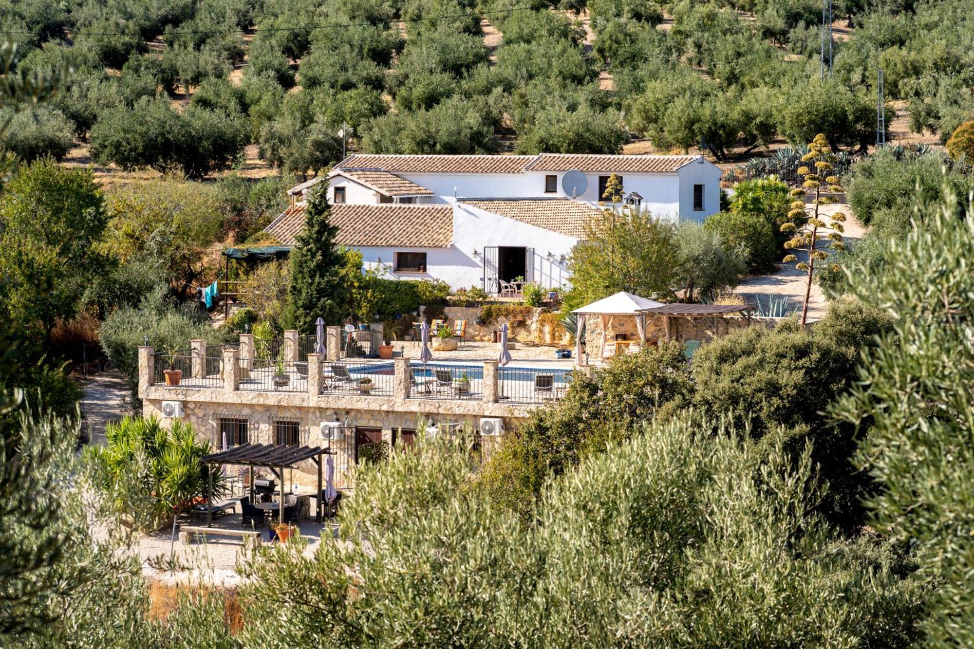 Hacienda La Buena Vida B&B En Appartementen Casita La Bruja Algarinejo Pokój zdjęcie